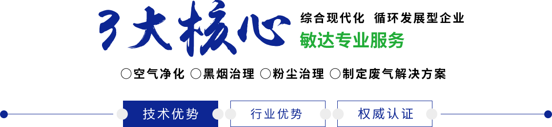 外国鸡巴操中国逼敏达环保科技（嘉兴）有限公司